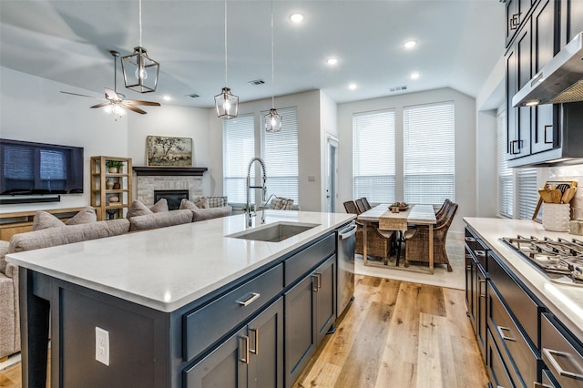 1905 Halkin Rd, Celina, TX 75009 - kitchen featuring a sink, exhaust hood, appliances with stainless steel finishes, ceiling fan, and light wood-style floors