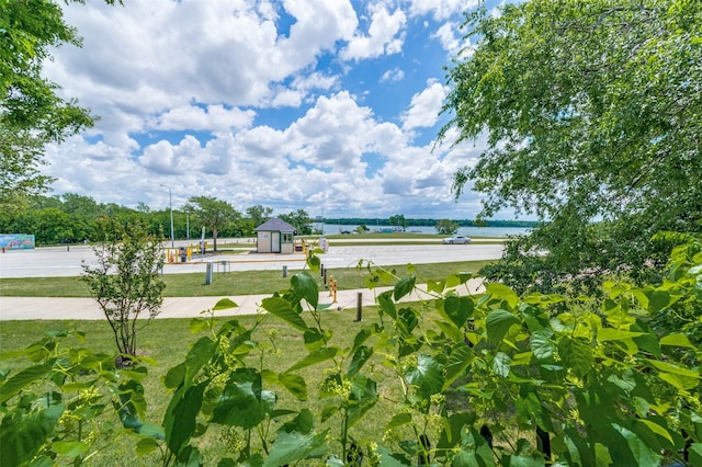 3625 Cottonwood Springs Dr, The Colony, TX 75056 - surrounding community with a water view