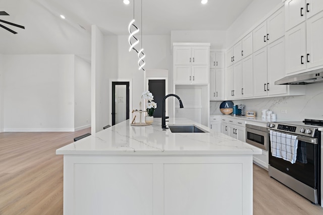 205 Altamesa Blvd, Fort Worth, TX 76134 - kitchen featuring appliances with stainless steel finishes, under cabinet range hood, a sink, light wood-style flooring, and white cabinetry
