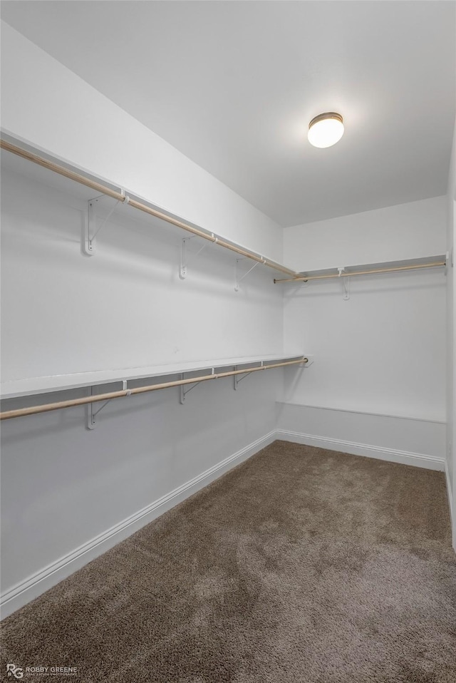 345 Coppice Pl, Bossier City, LA 71111 - walk in closet with carpet floors