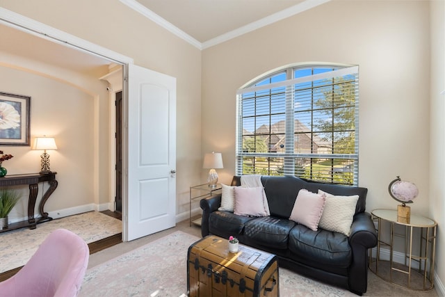 102 Autumn Sage Dr, Wylie, TX 75098 - living area featuring carpet flooring, baseboards, and crown molding