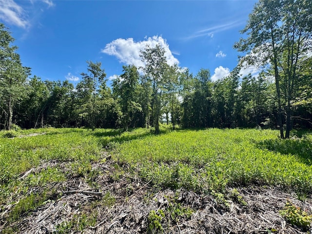 9443 Mistletoe Rd Lot 9, Gilmer, TX 75644