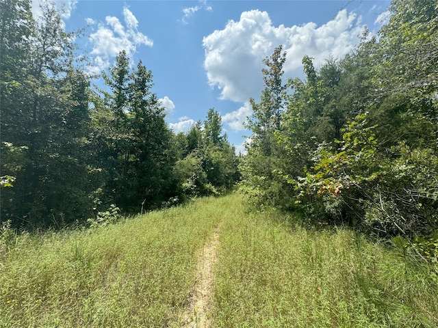 9443 Mistletoe Rd Lot 9, Gilmer, TX 75644