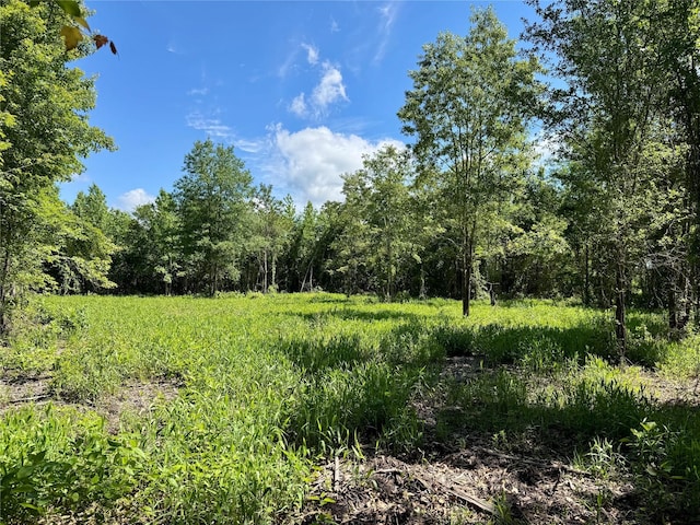 9443 Mistletoe Rd Lot 9, Gilmer, TX 75644