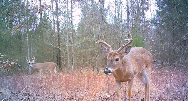 9443 Mistletoe Rd Lot 9, Gilmer, TX 75644