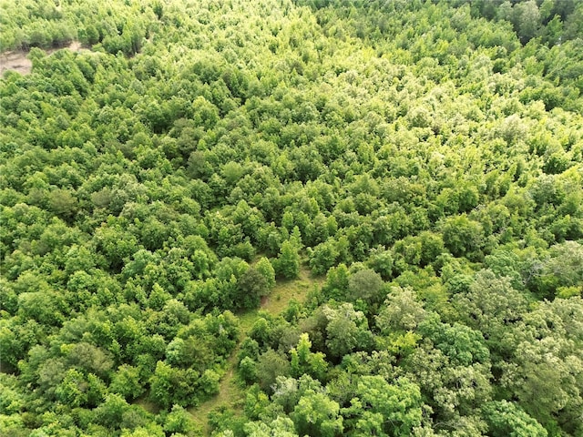 9443 Mistletoe Rd Lot 9, Gilmer, TX 75644