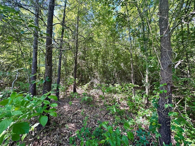 9443 Mistletoe Rd Lot 9, Gilmer, TX 75644