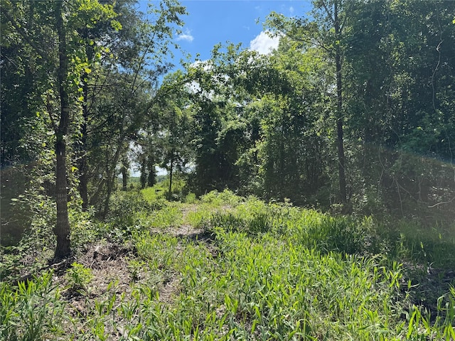 9443 Mistletoe Rd Lot 9, Gilmer, TX 75644