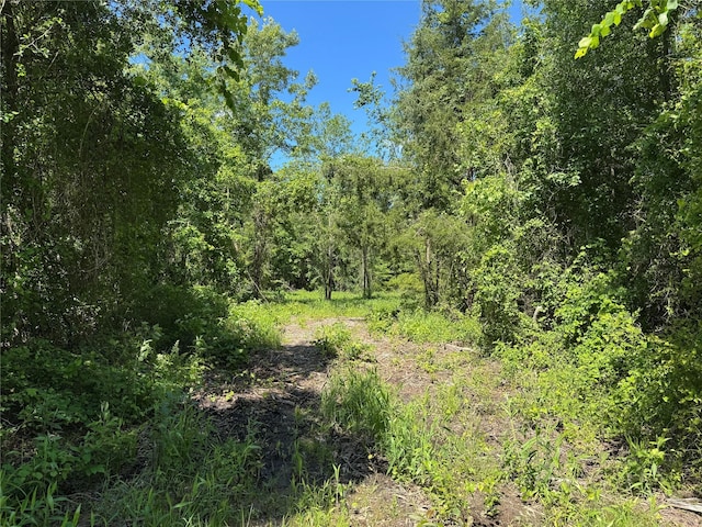 9443 Mistletoe Rd Lot 9, Gilmer, TX 75644