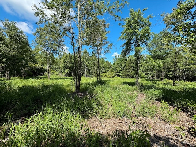 9443 Mistletoe Rd Lot 9, Gilmer, TX 75644