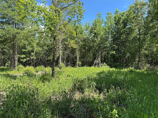 9443 Mistletoe Rd Lot 9, Gilmer, TX 75644