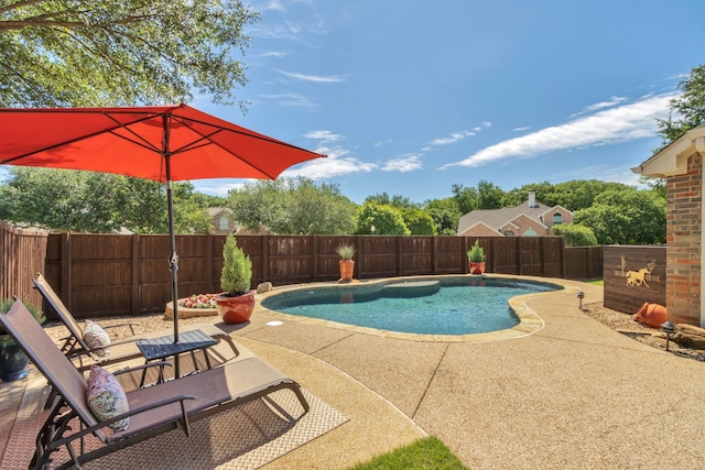 view of swimming pool featuring a patio area and a fenced backyard