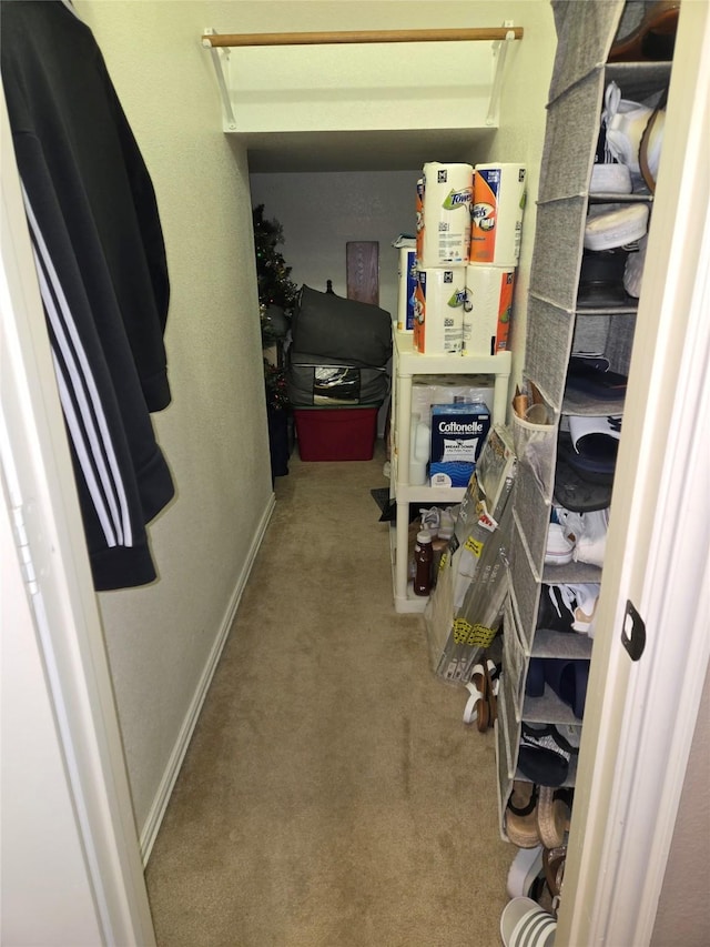 4820 Rum St, Fort Worth, TX 76244 - walk in closet with carpet flooring
