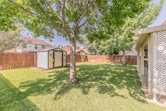 4820 Rum St, Fort Worth, TX 76244 - view of yard