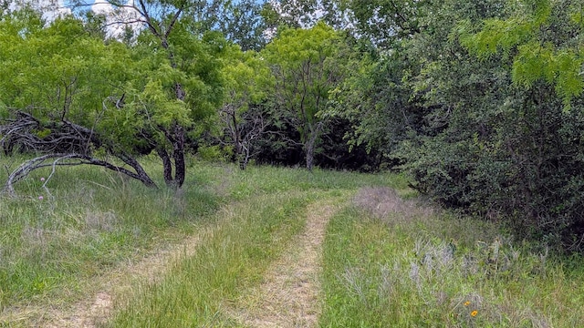 1300 County Road 394, Dublin, TX 76446