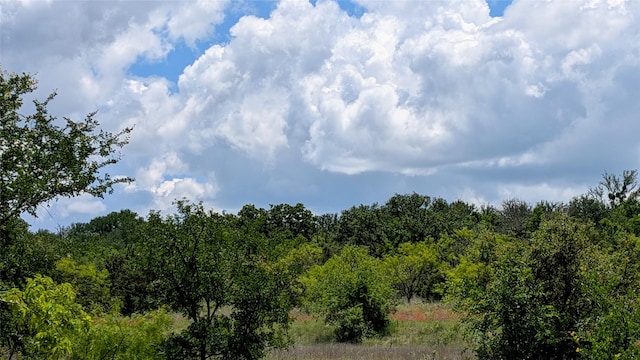 1300 County Road 394, Dublin, TX 76446