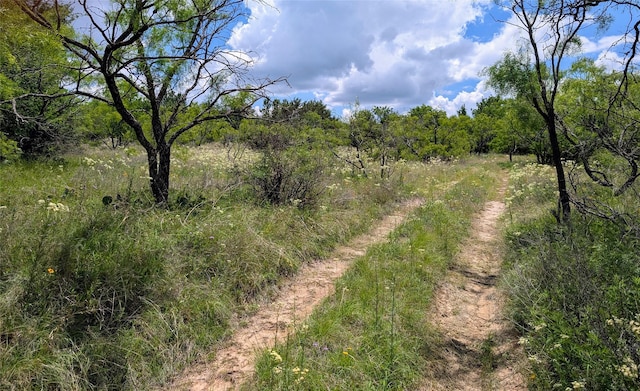 1300 County Road 394, Dublin, TX 76446