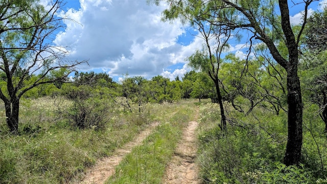 1300 County Road 394, Dublin, TX 76446