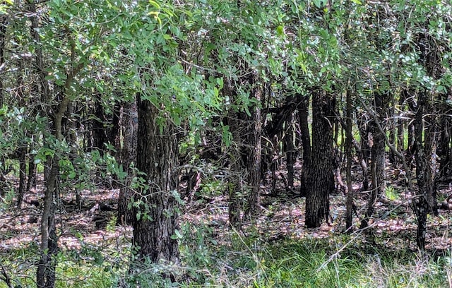 1300 County Road 394, Dublin, TX 76446