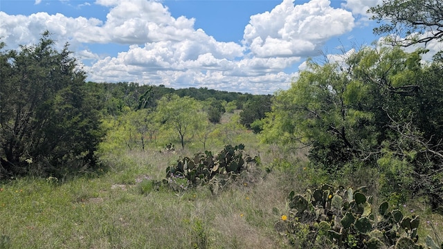1300 County Road 394, Dublin, TX 76446