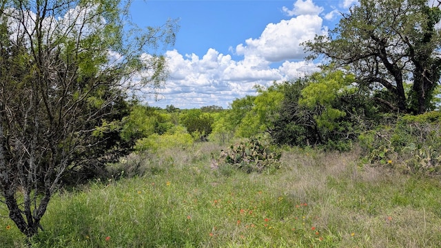 1300 County Road 394, Dublin, TX 76446