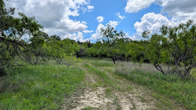 1300 County Road 394, Dublin, TX 76446