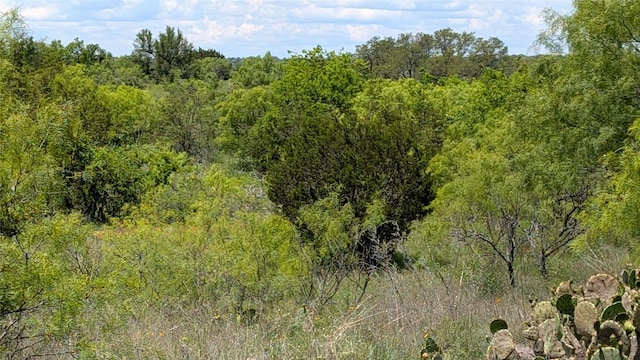 1300 County Road 394, Dublin, TX 76446
