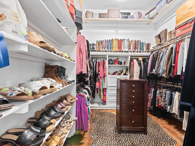 spacious closet with wood finished floors