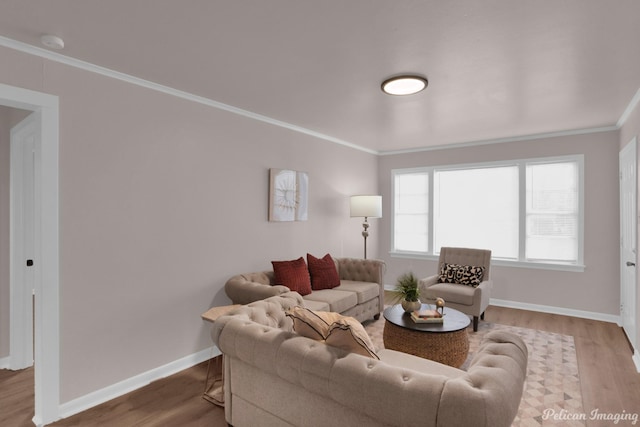 living room featuring ornamental molding, baseboards, and wood finished floors