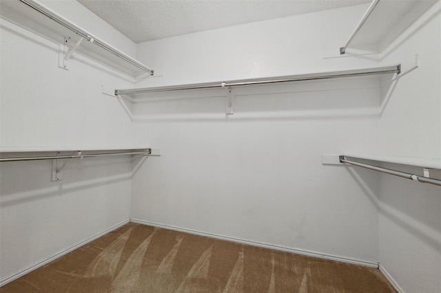218 Whispering Dell Ln, Weatherford, TX 76085 - walk in closet featuring carpet