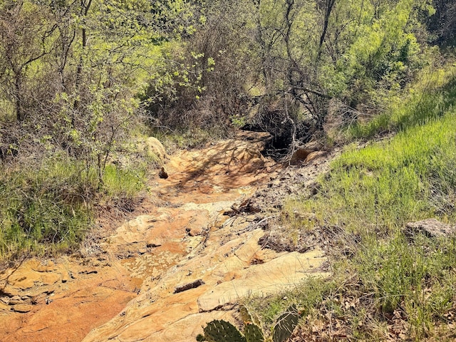 6305 Barrel Spring Rd, Nocona, TX 76255 - view of local wilderness