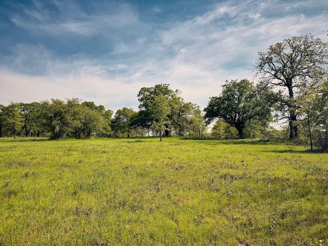 6305 Barrel Spring Rd, Nocona, TX 76255 - view of nature featuring rural landscape