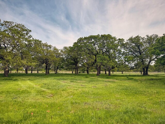 6305 Barrel Spring Rd, Nocona, TX 76255 - view of yard