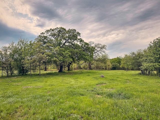 6305 Barrel Spring Rd, Nocona, TX 76255 - view of yard featuring a rural view