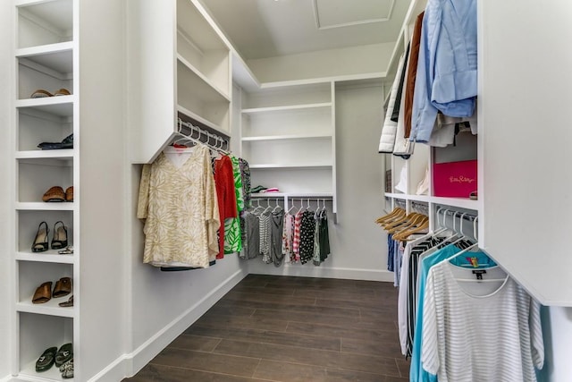 spacious closet featuring dark wood-type flooring and attic access