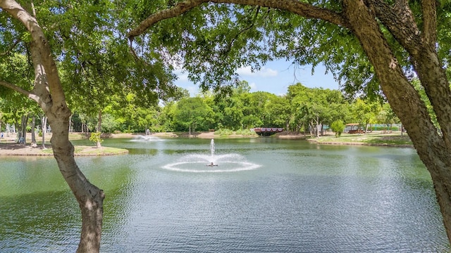 1209 Bel Air Dr, Allen, TX 75013 - water view