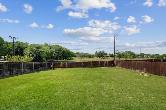 432 Sagebrush Dr, Aledo, TX 76008 - view of yard