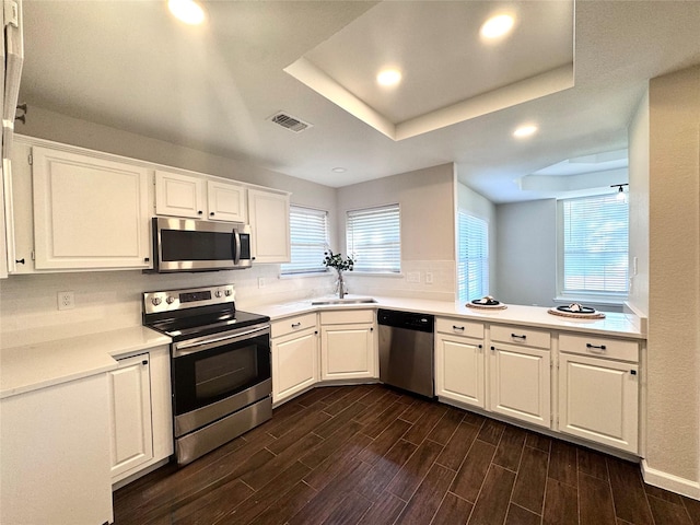 425 N Gaston Dr, Wylie, TX 75098 - kitchen featuring stainless steel appliances, a raised ceiling, a sink, dark wood finished floors, and white cabinetry