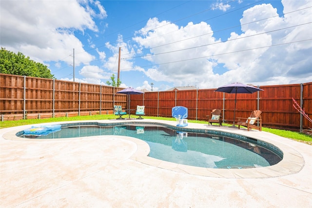 view of pool featuring a fenced backyard and a patio