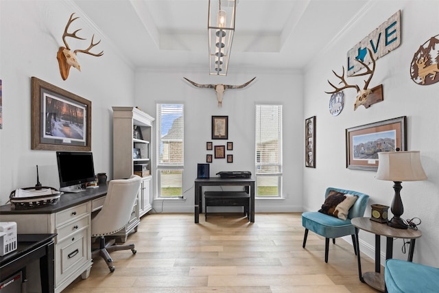 7020 Valley View Dr, Joshua, TX 76058 - office featuring a tray ceiling, light wood finished floors, and ornamental molding
