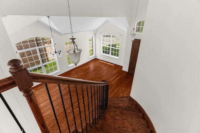 8204 Saint Clair Dr, Mckinney, TX 75071 - staircase with wood finished floors and baseboards
