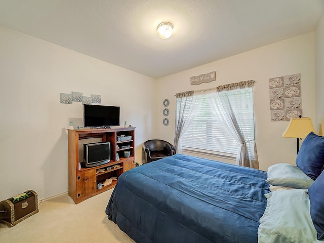 3929 Bonita Springs Dr, Fort Worth, TX 76123 - bedroom with carpet floors