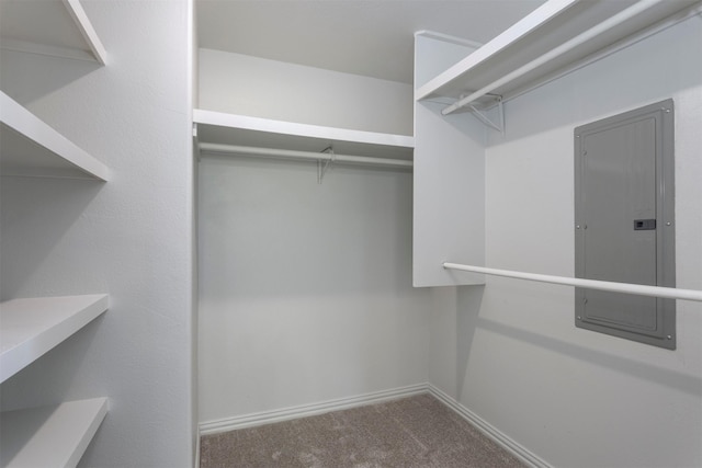 943 Lone Star Rd, Whitesboro, TX 76273 - walk in closet with electric panel and carpet