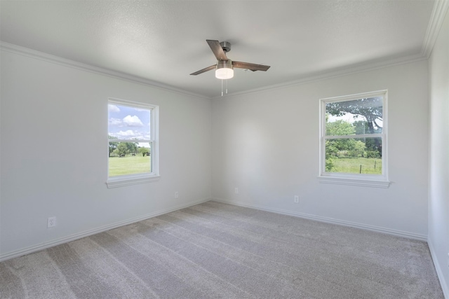 943 Lone Star Rd, Whitesboro, TX 76273 - unfurnished room with healthy amount of natural light, a ceiling fan, ornamental molding, and light colored carpet