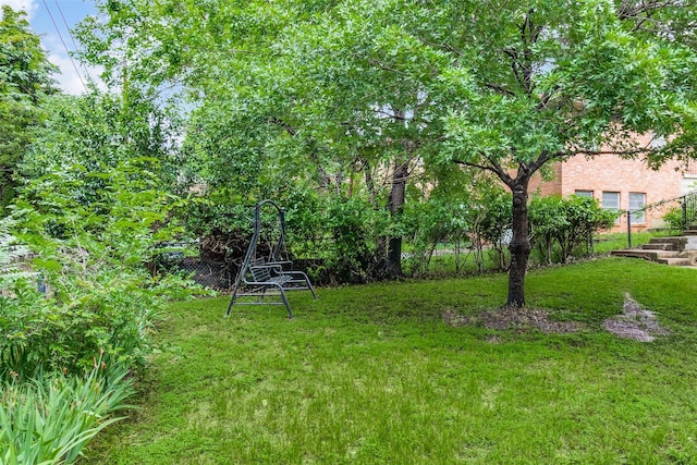1231 Arizona Ave, Dallas, TX 75216 - view of green lawn