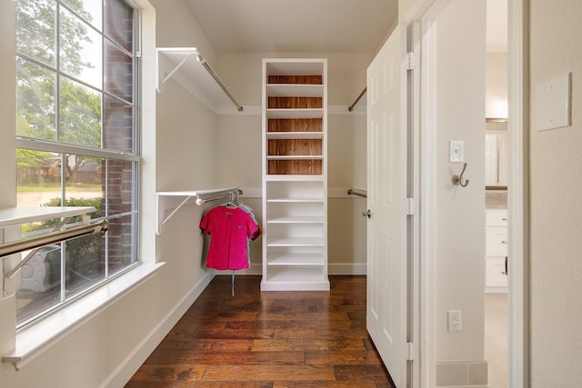 102 Fontana Ct, Allen, TX 75013 - walk in closet featuring wood-type flooring
