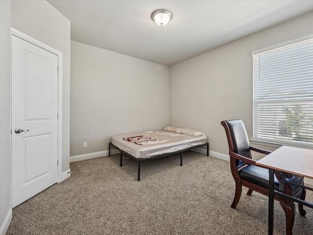 1044 Pitch Pine St, Hickory Creek, TX 75065 - office featuring carpet flooring and baseboards