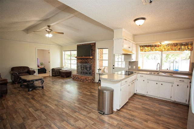 1217 Randy Dr, Graham, TX 76450 - kitchen featuring a sink, open floor plan, black electric stovetop, dark wood-type flooring, and a textured ceiling