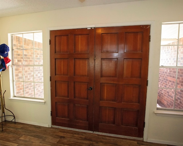 1217 Randy Dr, Graham, TX 76450 - foyer with dark wood-type flooring, baseboards, and plenty of natural light