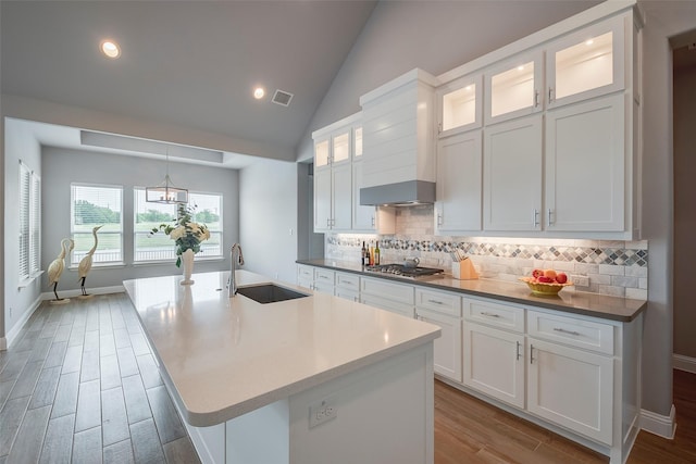 14312 Home Trl, Fort Worth, TX 76262 - kitchen featuring a sink, wood finished floors, decorative backsplash, white cabinetry, and vaulted ceiling